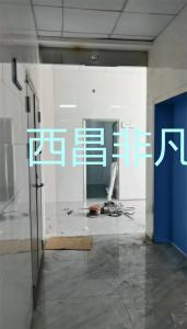 涼山彝族自治州西昌市昭覺縣人民醫(yī)院人臉識別玻璃自動感應門
